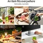 Squishy Fruit Apple Fidget Toy