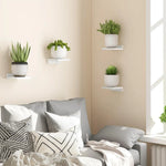 4 Pack Mini Floating Wall Shelves, 5 Inch Wooden Display Shelves for Plants, Decor & Small Items, Wall Mounted Shelf Set