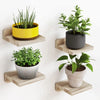 4 Pack Mini Floating Wall Shelves, 5 Inch Wooden Display Shelves for Plants, Decor & Small Items, Wall Mounted Shelf Set