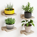 4 Pack Mini Floating Wall Shelves, 5 Inch Wooden Display Shelves for Plants, Decor & Small Items, Wall Mounted Shelf Set