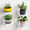 4 Pack Mini Floating Wall Shelves, 5 Inch Wooden Display Shelves for Plants, Decor & Small Items, Wall Mounted Shelf Set