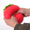 Giant Strawberry Fidget Toy
